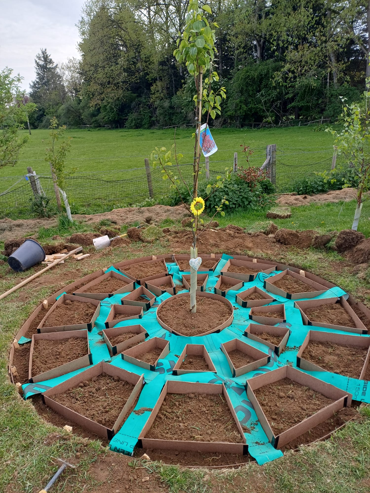 More bench foundations